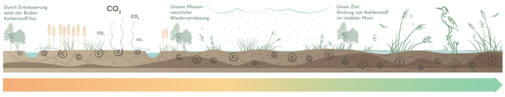 Infografik Sinnstifter