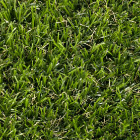 Kunstrasen Paparoa - 210